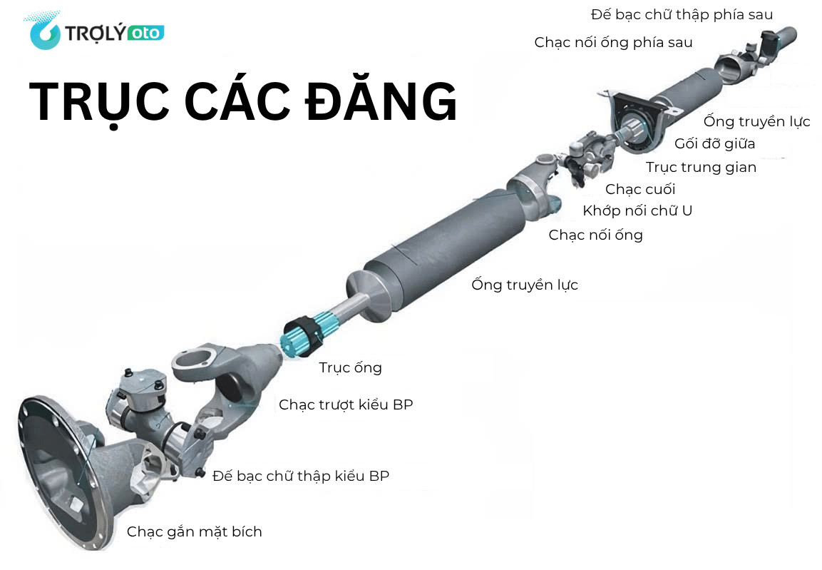 Cấu tạo trục các đăng