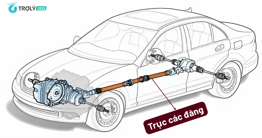 Trục các đăng ô tô là bộ phận nằm trong hệ thống truyền lực